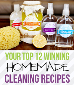 Your Top 12 Contest Winning Homemade Cleaning Recipes eBook
